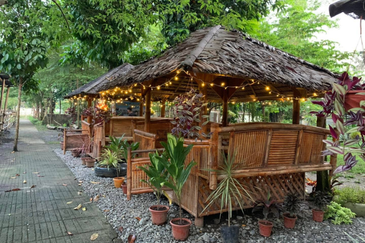 Kalibo Ostrich Paradise